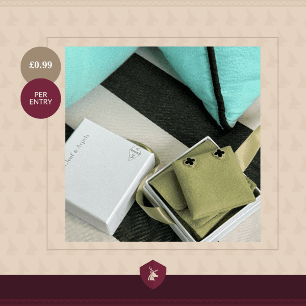 Win Van Cleef & Arpels Vintage Alhambra earrings