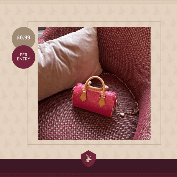 LV Nano Speedy Bag