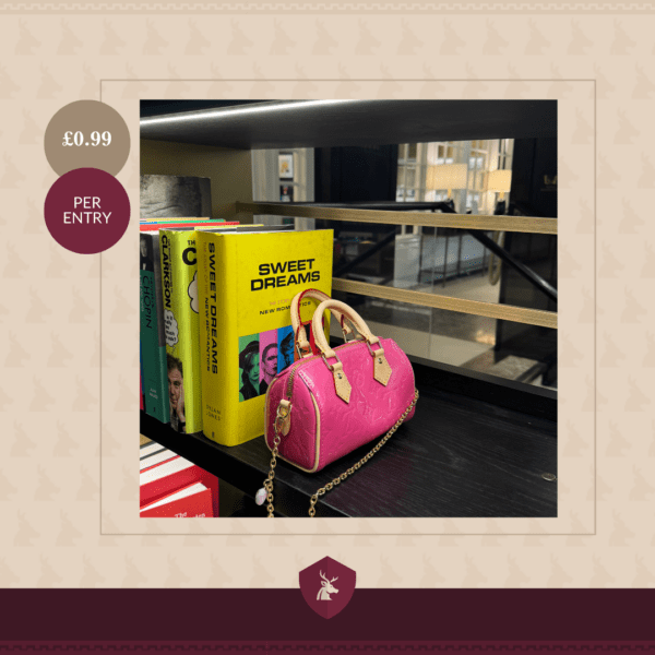 LV Nano Speedy Bag - Image 2